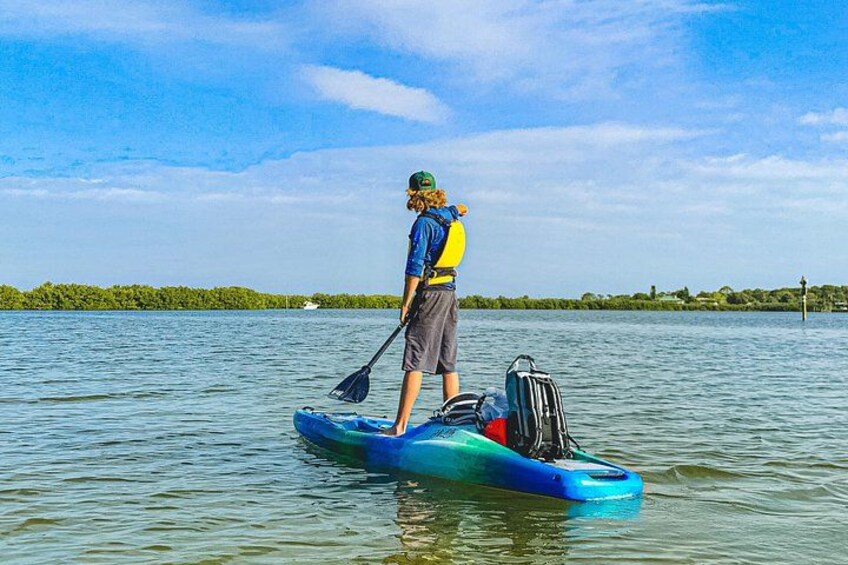 Indian River Clear Bottom Kayak or Paddleboarding Manatee and Dolphin Tour 1