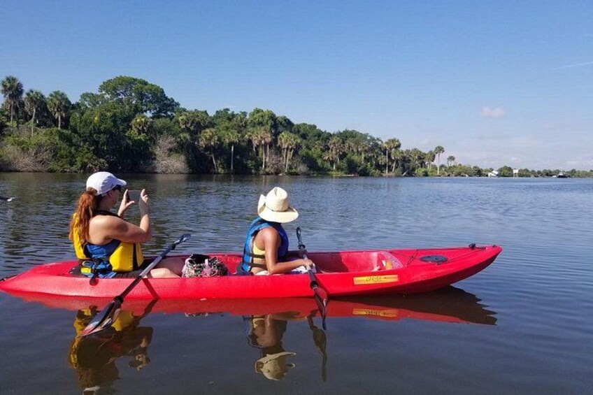 Indian River Clear Bottom Kayak or Paddleboarding Manatee and Dolphin Tour 4