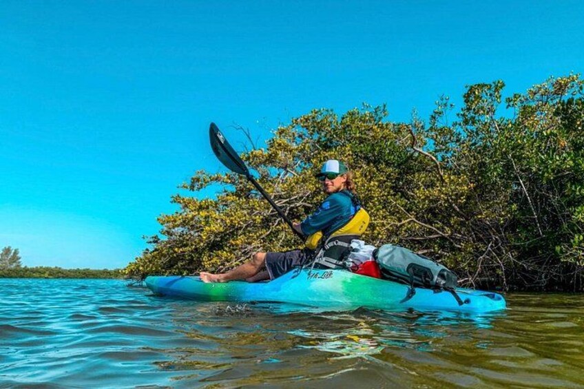 Indian River Clear Bottom Kayak or Paddleboarding Manatee and Dolphin Tour 2
