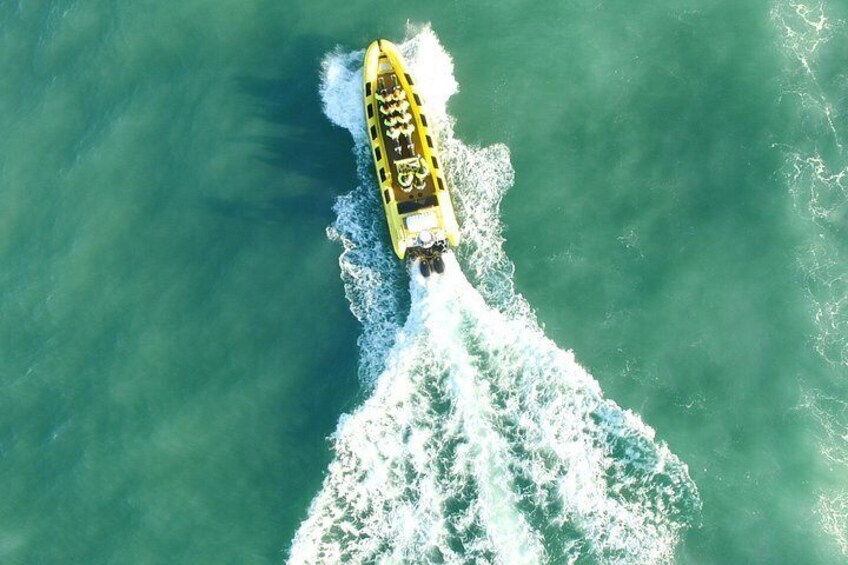 Whale Watching by RIB Speedboat from Downtown Reykjavik 4