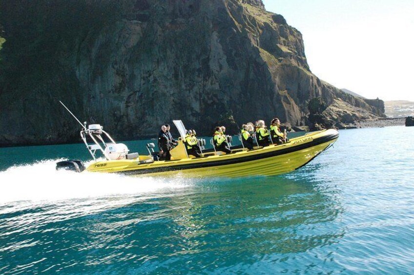 Whale Watching by RIB Speedboat from Downtown Reykjavik 3