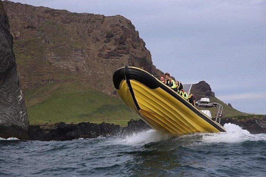 Whale Watching by RIB Speedboat from Downtown Reykjavik 5