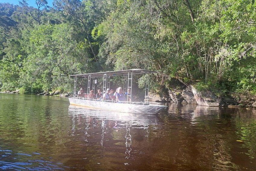 Un bote con pasajeros navegando por un río bordeado de árboles. 2
