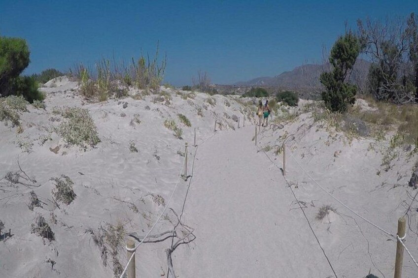 A sandy trail with sparse vegetation and a clear sky. 3