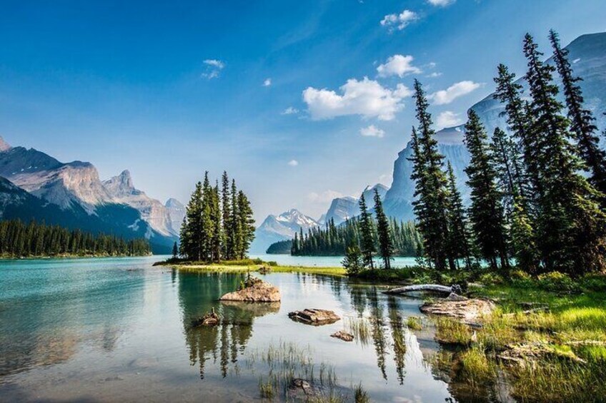 Un lac paisible, bordé de grands pins et entouré de montagnes, sous un ciel dégagé. 5