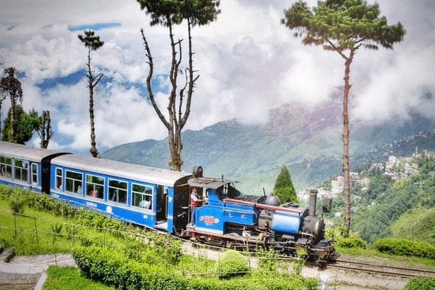 Darjeeling 3