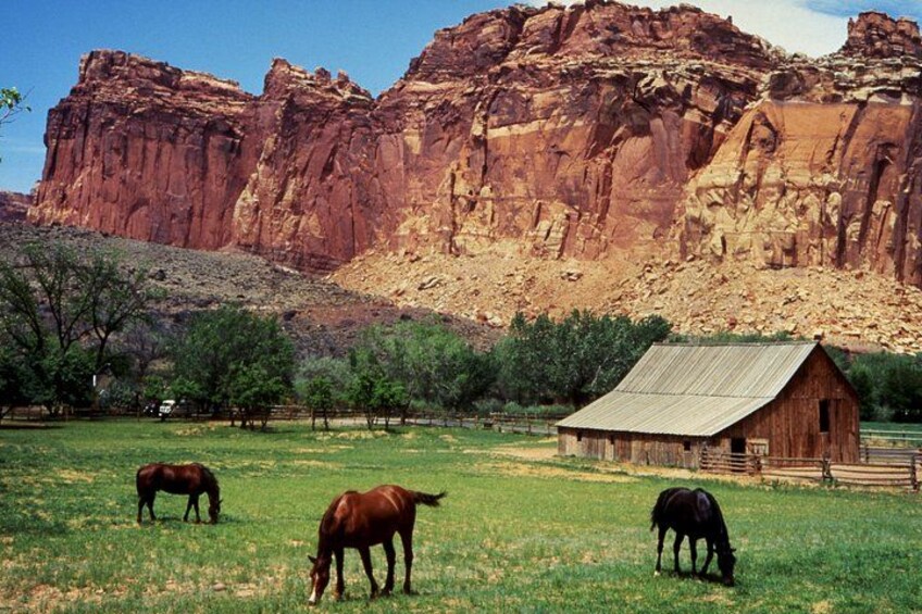 A ranch with horses grazing in a field, a wooden barn, and red rock formations in the background. 4