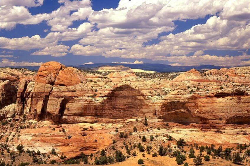 A desert landscape with red rock formations, sparse vegetation, and a clear blue sky with clouds. 3