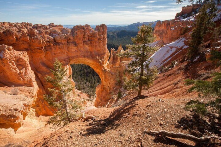 5-Day Tour in Utah visiting 5 National Parks