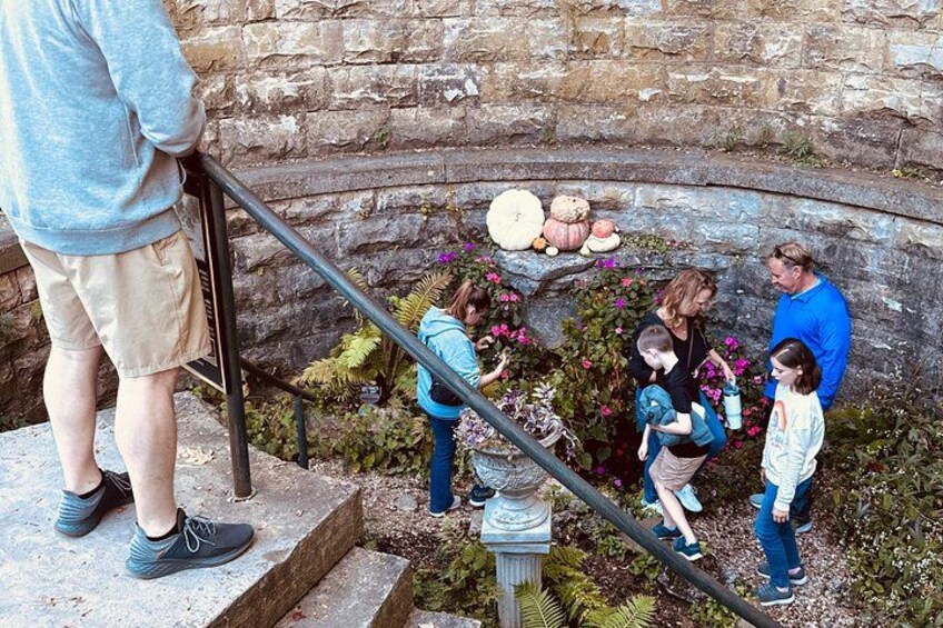 Un grupo de personas de pie en una escalera de piedra con un jardín al fondo. 5