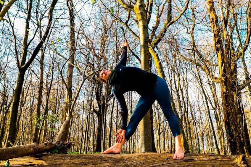 Half-day Forest Bathing and Yoga in Brighton's Woodlands 3