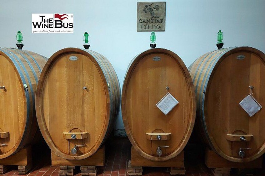 Cantine D'Uva cellar 1
