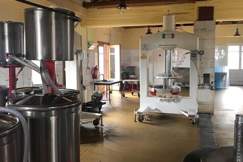 Private Olive Oil Tasting Tour @ Koronekes Organic Family Olive Oil Mill