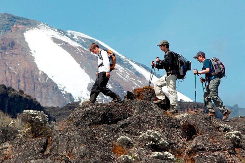 Two hikers on rocky terrain with a snow-capped mountain in the background. 1
