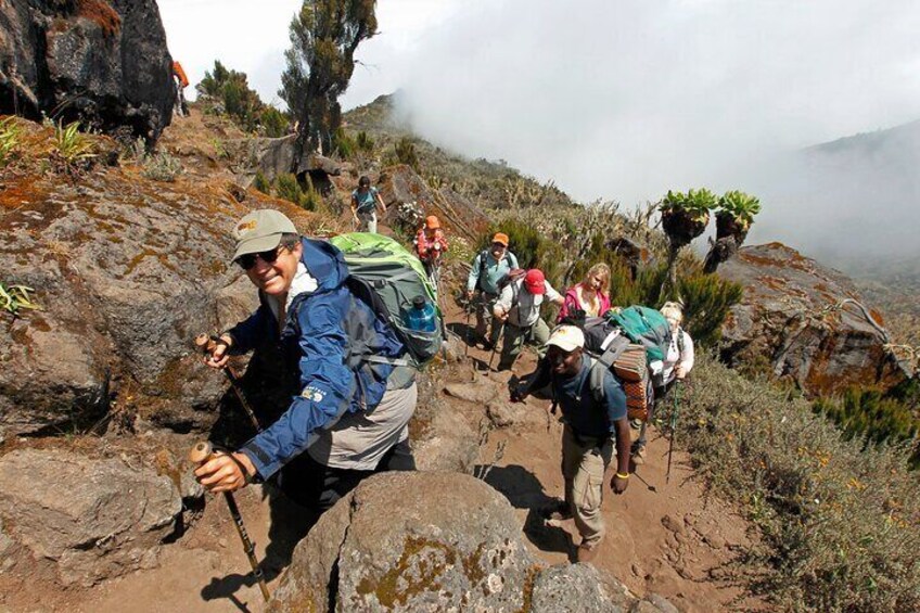 Hikers on a rocky trail with backpacks, surrounded by vegetation and fog. 5