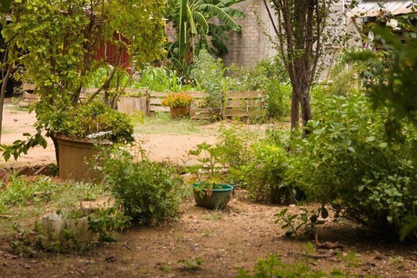 The Real Traditional Oaxaca culinary Cooking experience 5