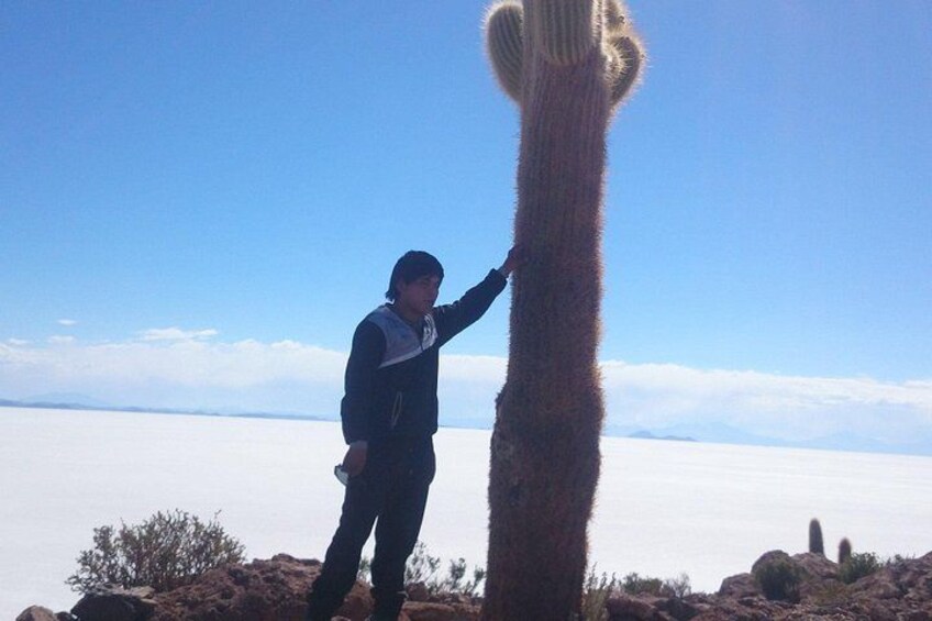The Incahuasi island and the giant cacti 3