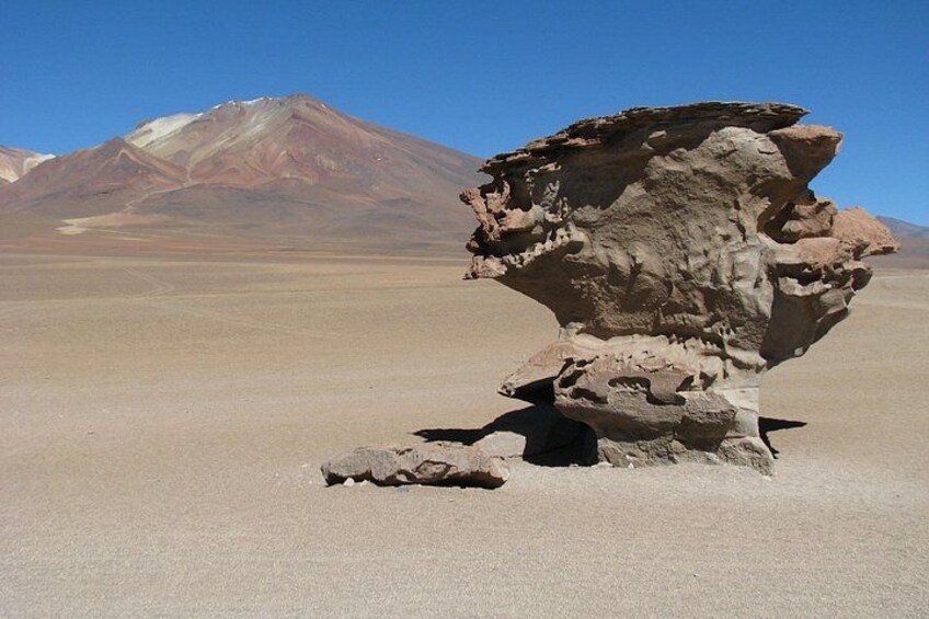 The Stone Tree in the Siloli Desert 2