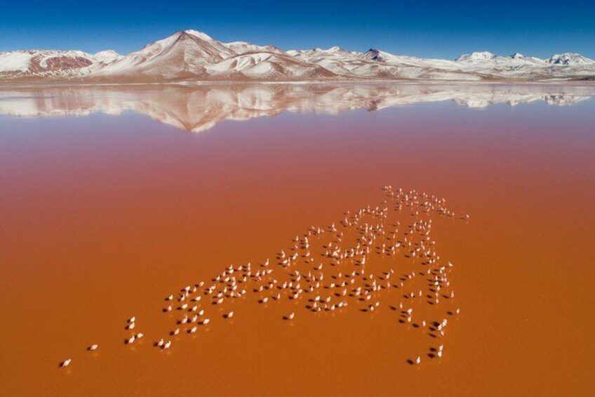 3-Days Tour to the Uyuni Salt Flat and Colored Lagoons +Sunset+Mirror Effect 1