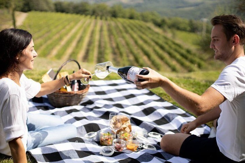 Winery Tour & picnic in the vineyard with a bottle of wine 2
