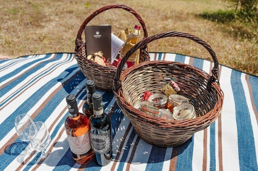 Winery Tour & picnic in the vineyard with a bottle of wine 3