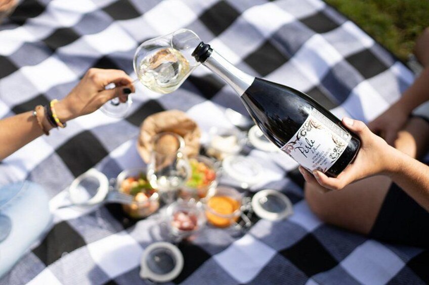 Winery Tour & picnic in the vineyard with a bottle of wine 2