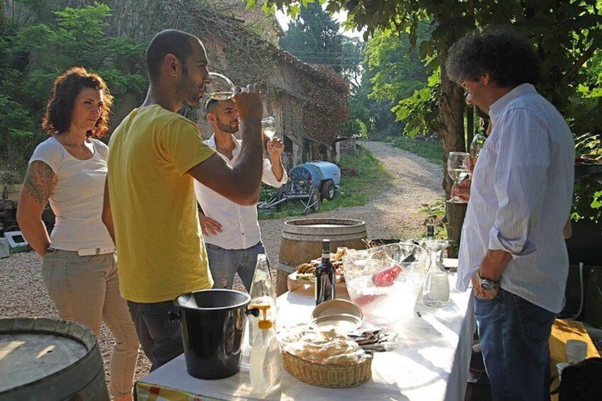 Farm animals and biodynamic wine tasting in Lazise 5