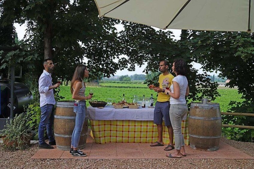 Farm animals and biodynamic wine tasting in Lazise 2
