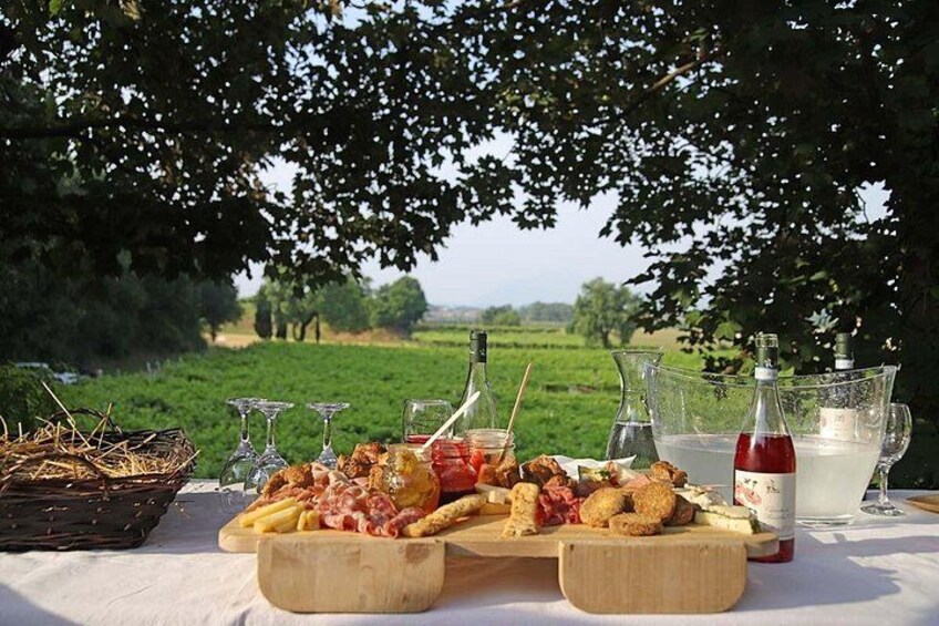 Farm animals and biodynamic wine tasting in Lazise 4