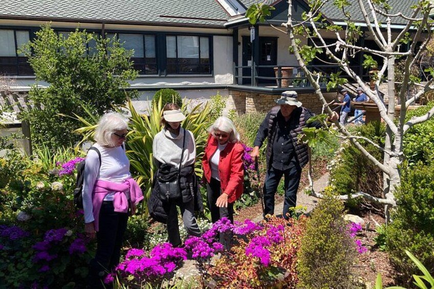 Guided 2-Hour Walking Tour in Carmel by the Sea 2