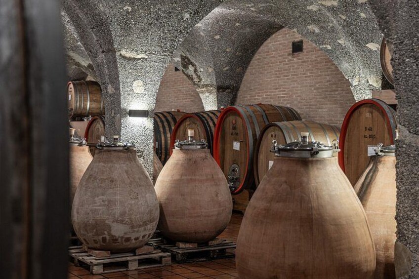 Winery Tour & Gourmet Tasting in Montalcino 5