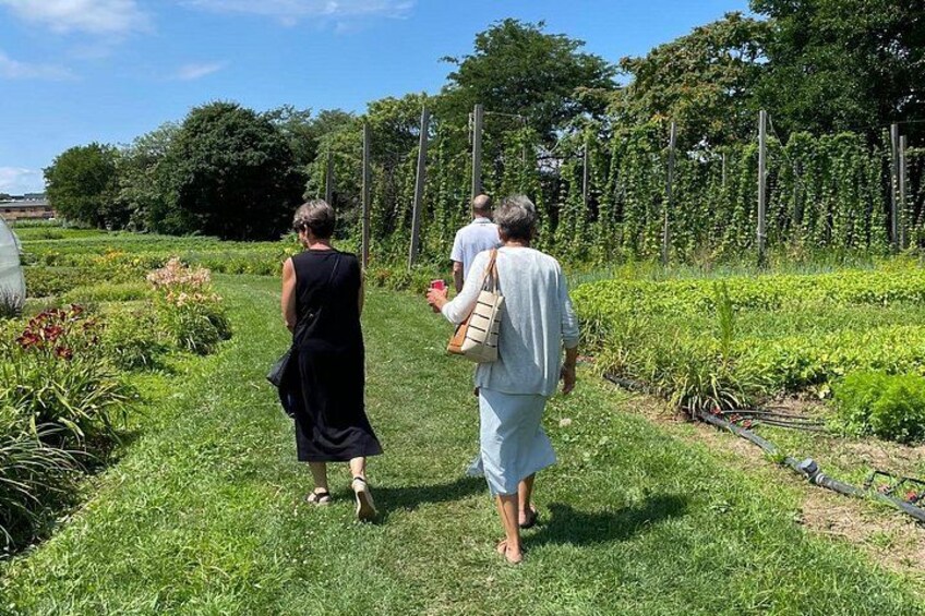 Urban farm in the middle of The Land 2