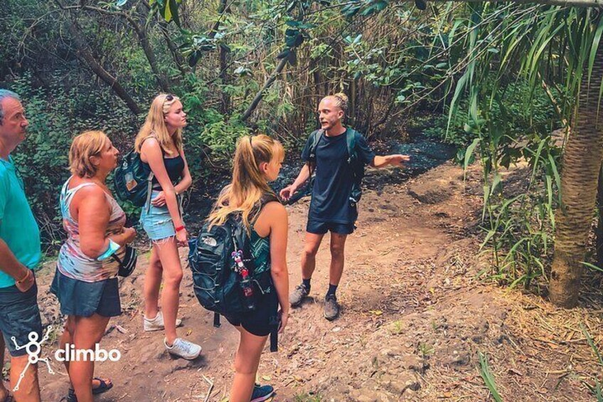 A group of people hiking on a dirt trail surrounded by dense vegetation. 1