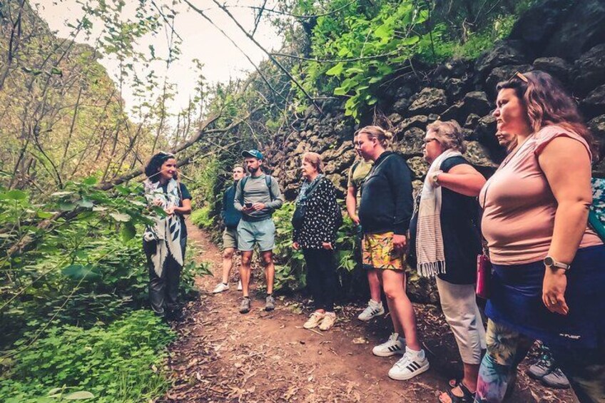 Full Day Rainforest Tour with Tasting and Swimming Time ツ 4