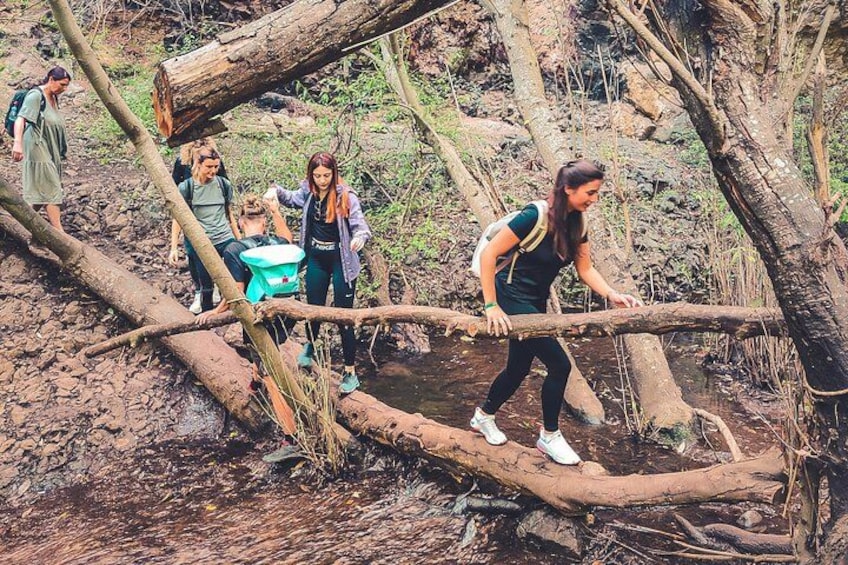 A group of people crossing a forested area with fallen logs and a stream. 2