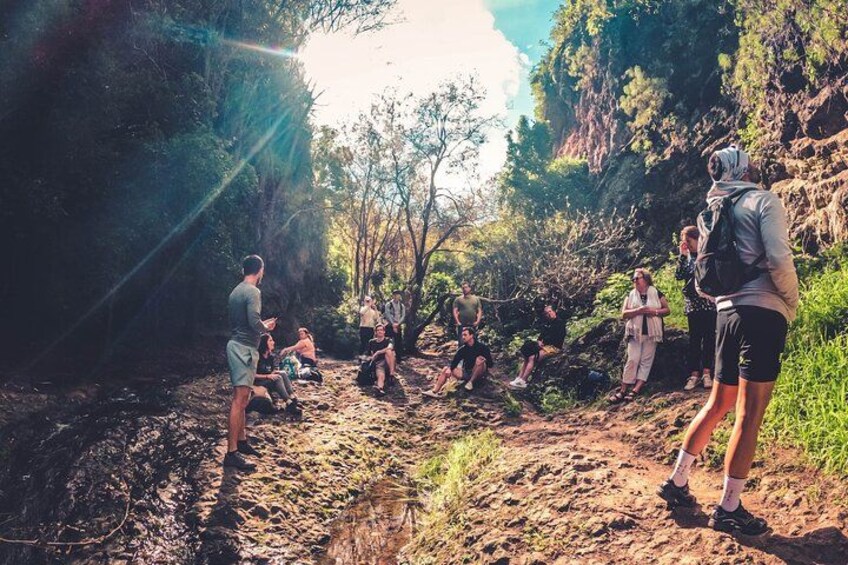 Full Day Rainforest Tour with Tasting and Swimming Time ツ 3