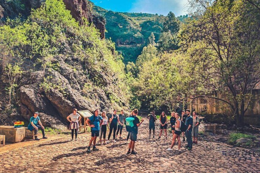 A group of people standing on a cobblestone path in a canyon with rocky cliffs and trees. 3
