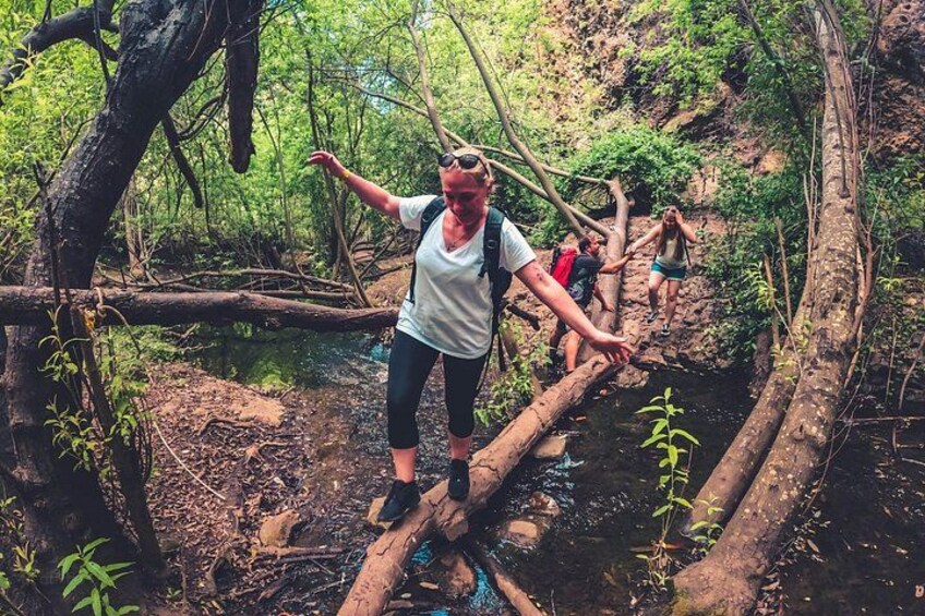 Full Day Rainforest Tour with Tasting and Swimming Time ツ 3