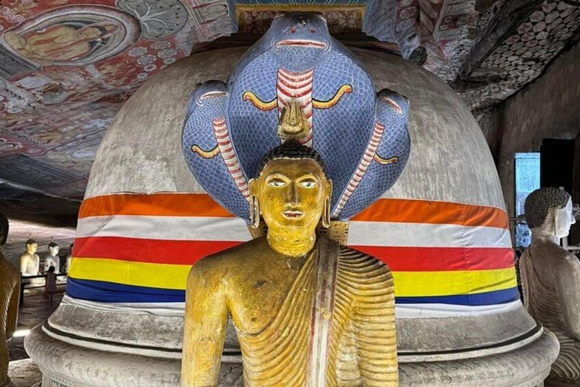 Sigiriya Day Tour | Rock Fortress & Dambulla Cave Temple 4