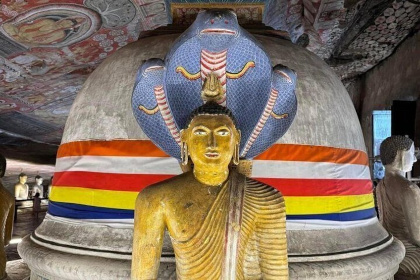 Sigiriya Day Tour | Rock Fortress & Dambulla Cave Temple 4