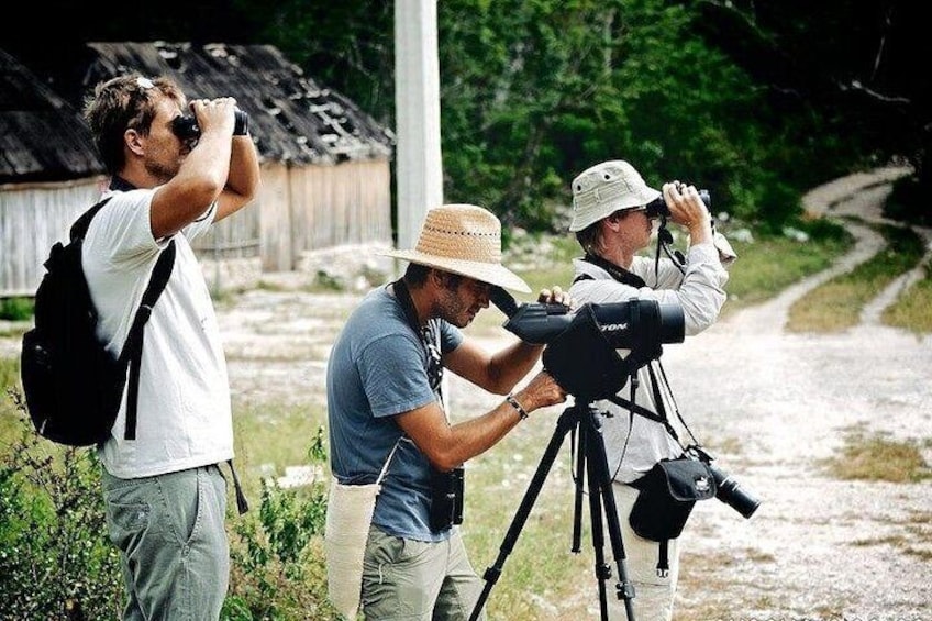 Three people using cameras on tripods, standing on a dirt path with greenery and a wooden structure in the background. 1