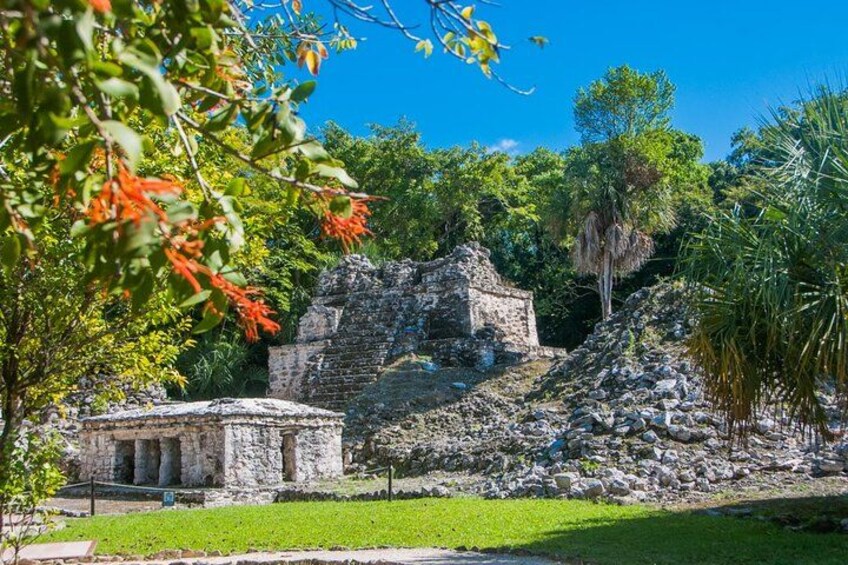 Ancient ruins with columns, surrounded by lush greenery and trees. 3
