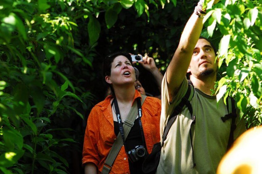 Two people in a forested area, one holding a camera. 2