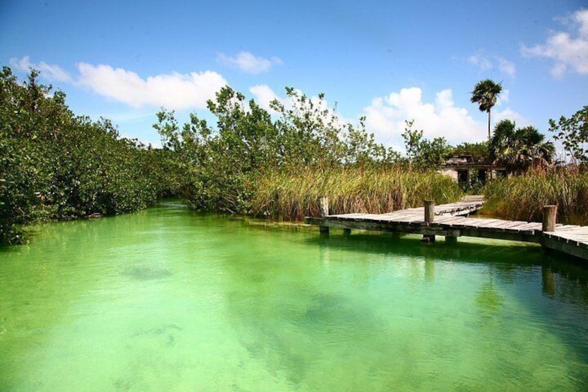 Birdwatching in Sian Ka´an Muyil from Tulum - Shared Group Tour 5