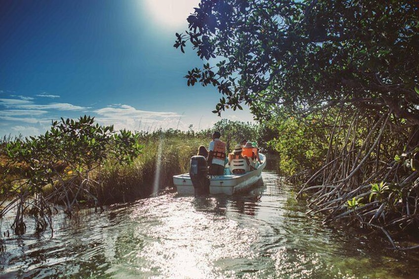 Birdwatching in Sian Ka´an Muyil from Tulum - Shared Group Tour 2