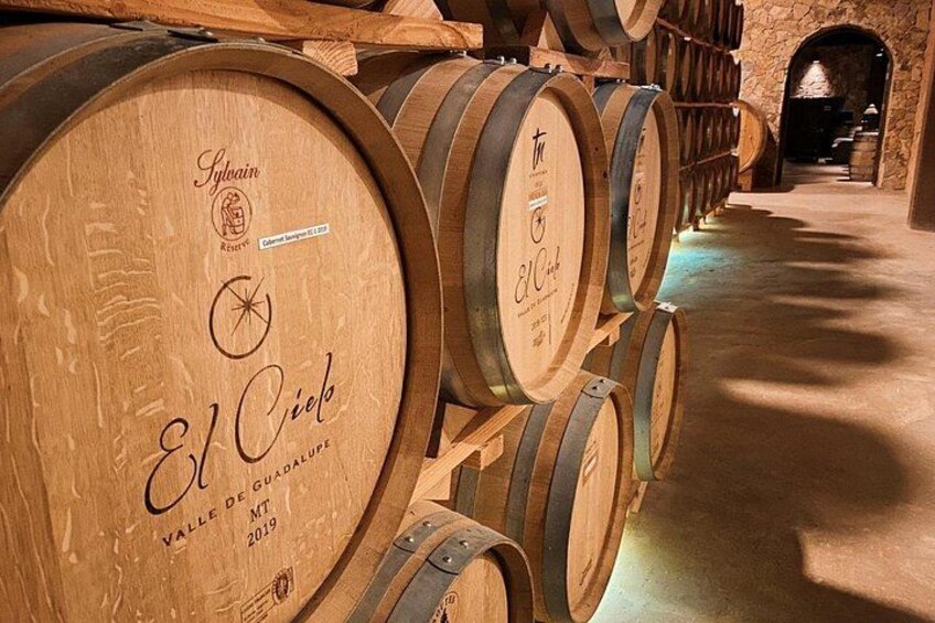 Botti di legno impilate in una cantina, con una parete in pietra e un arco in legno sullo sfondo. 3