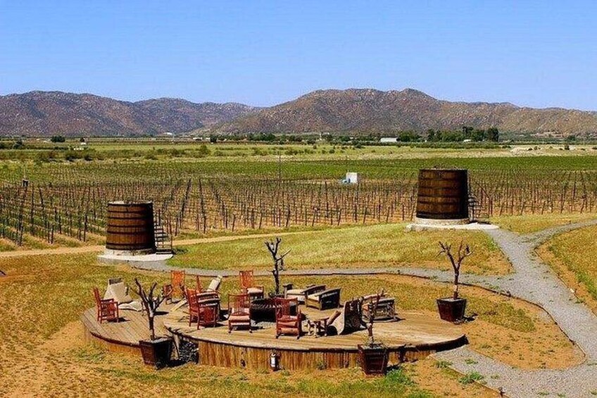 Private wine tour 3