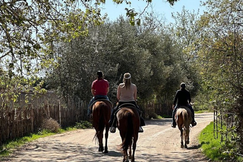 Three people riding horses on a dirt road surrounded by trees. 3