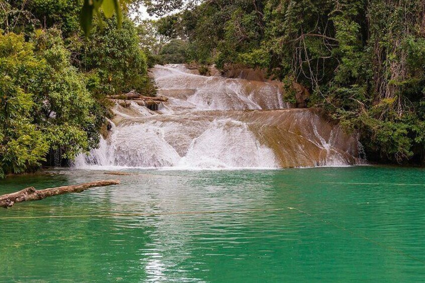 Roberto Barrios Waterfalls Tour (Bascan Valley) from Palenque