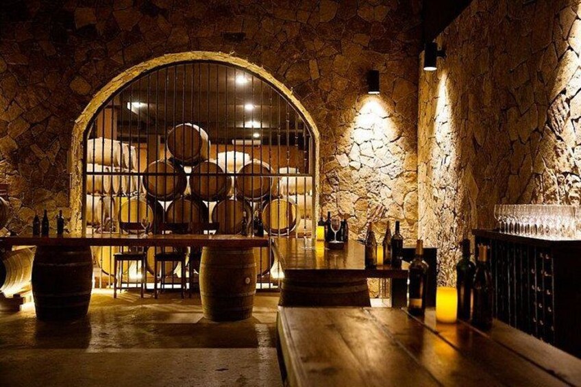 Valle de Guadalupe Vineyard Wagon Tour & Wine Tasting 5